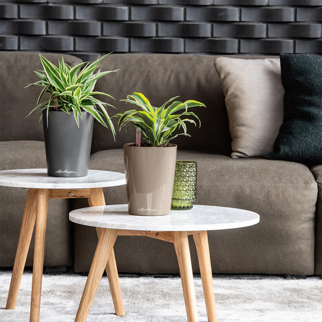 Lechuza Plantenbak Deltini All-In-One Metallic Houtskoolkleurig