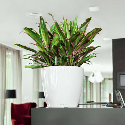 Lechuza Plantenbak Classico Ls 35 All-In-One Hoogglans 16060