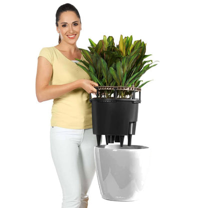 Lechuza Plantenbak Classico Ls 35 All-In-One Hoogglans 16060