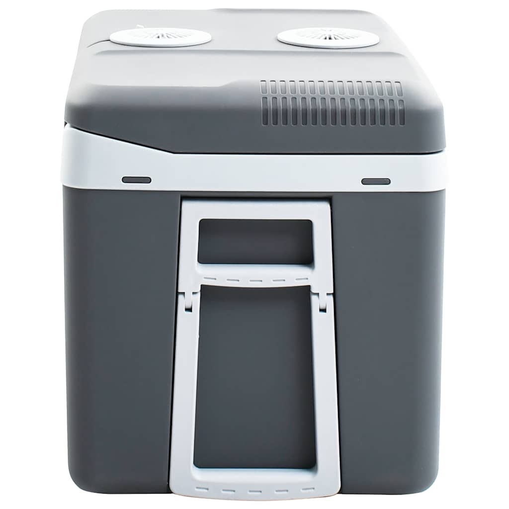 Koelbox Thermo-Elektrisch Draagbaar 12 V 230 V E